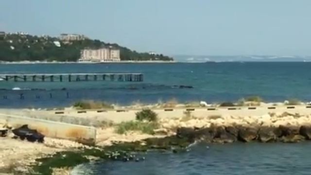 Аквахаус Болгария смотреть онлайн
