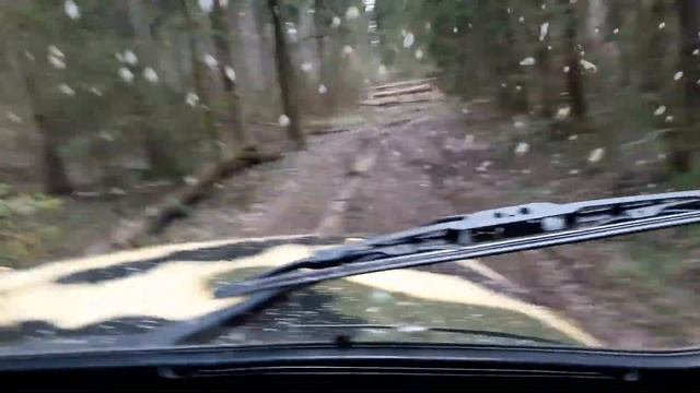 ЛЕС И ПОЛЕ против... смотреть онлайн