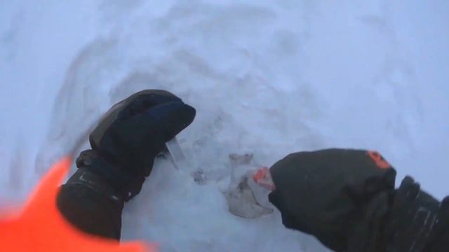 Щука на жерлицы. Самые приятные моменты! смотреть онлайн