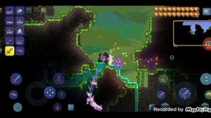 лайфхак как быстро найти храм Джунглей в игре terraria