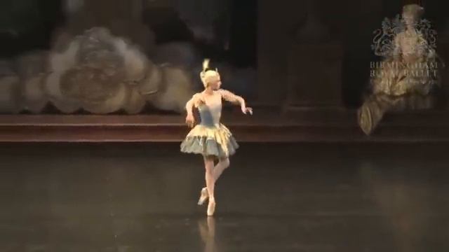 Birmingham Royal Ballet: Bluebird pas de deux solo from The Sleeping Beauty смотреть онлайн