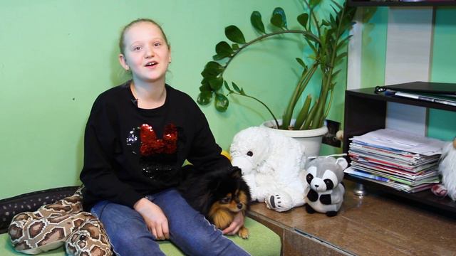 ТОП 5 САМЫХ ДОРОГИХ ПИТОМЦЕВ