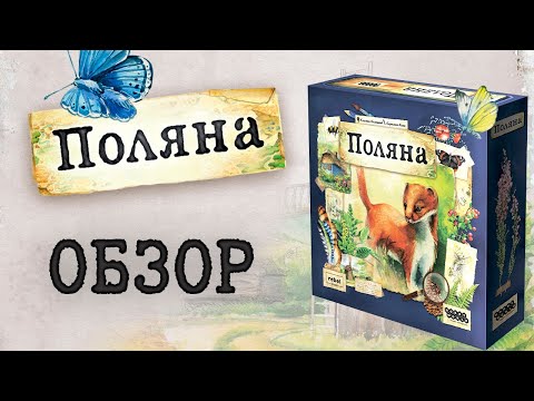 Поляна: Обзор смотреть онлайн