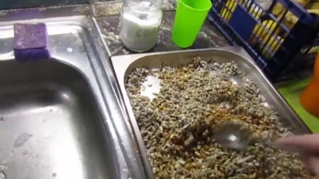 Мастерство и Креативность