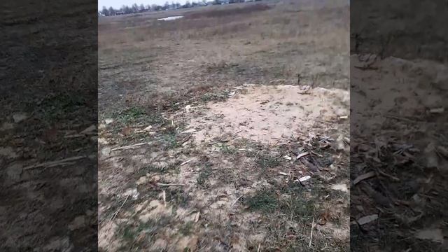 И снова здравствуйте. смотреть онлайн