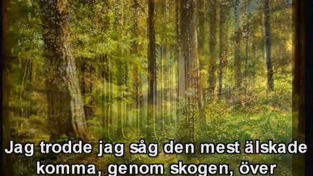 Dan Andersson. "Jag väntar" sjungen av Raul Ström смотреть онлайн