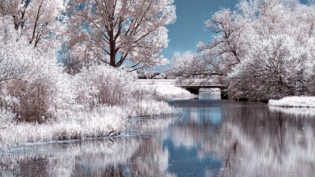 Peaceful Relaxing Instrumental Music, Calm Meditation Music, 