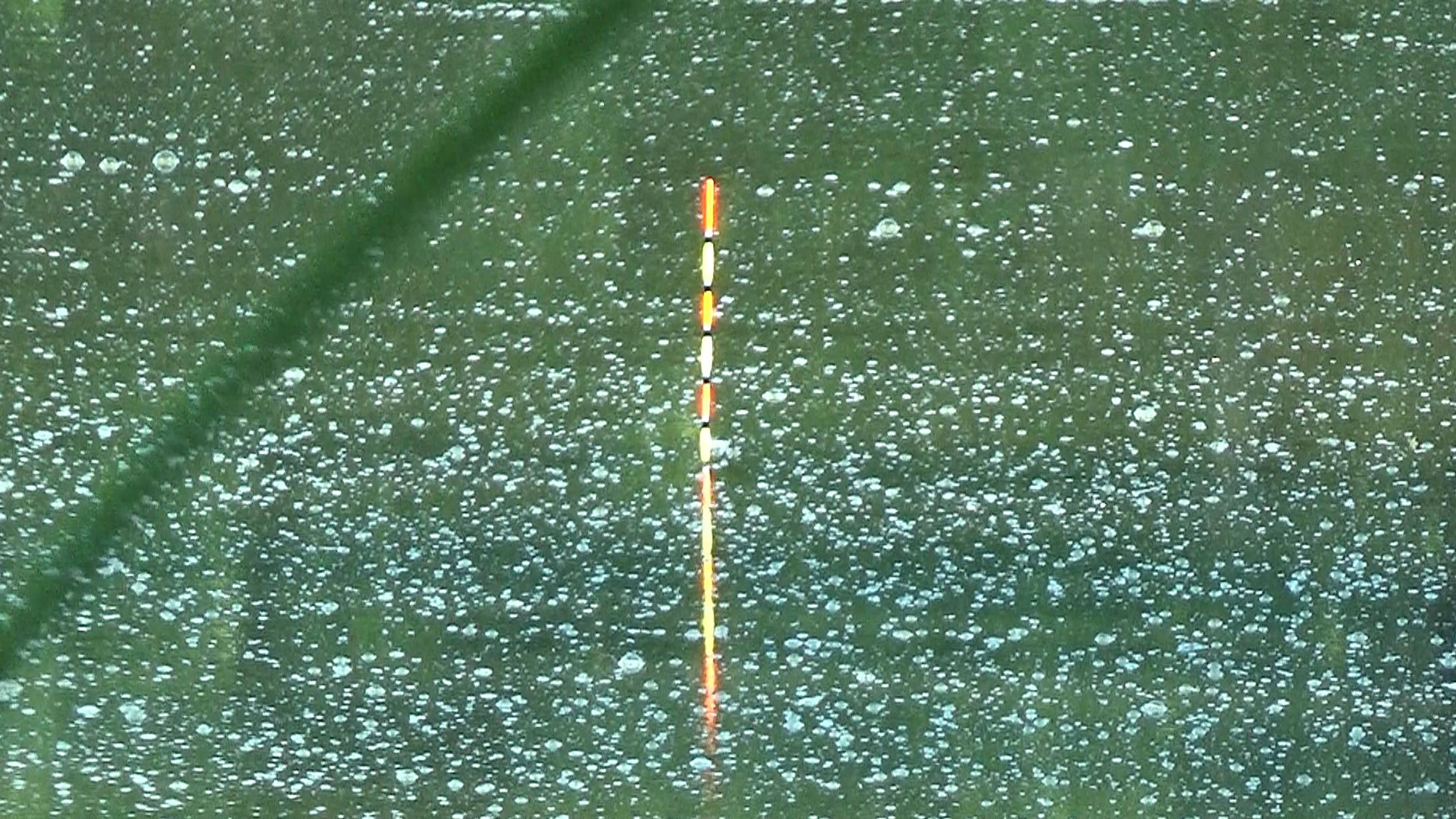 Рыбалка 10 августа, как она есть на поплавок на крупного карася.. смотреть онлайн