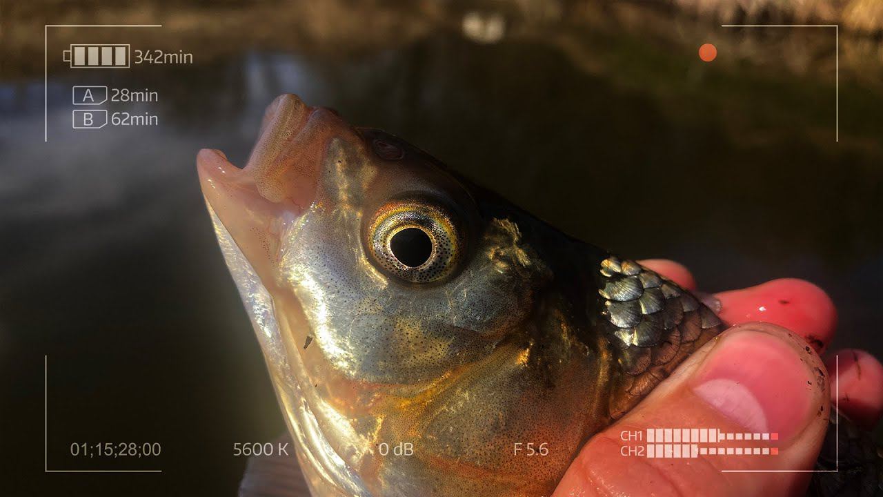 Мормышинг у "Водопада" смотреть онлайн