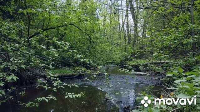 3часть. Любимая красивая музыка на СОН грядущий. Фрагменты популярных произведений перед сном.