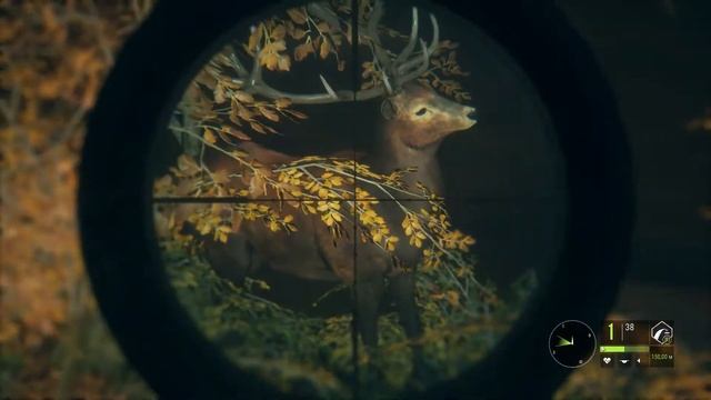 Прикольные и не очень баги. the Hunter Call of the Wild. смотреть онлайн