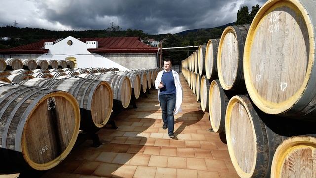 §37 "Европейский Юг: освоение территории и хозяйство", География 9 класс, Полярная звезда смотреть онлайн