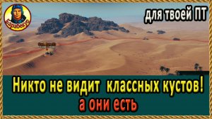 ПОЗИЦИЯ для ПТ: НИКТО не занимает. Песчаная река wot World of Tanks