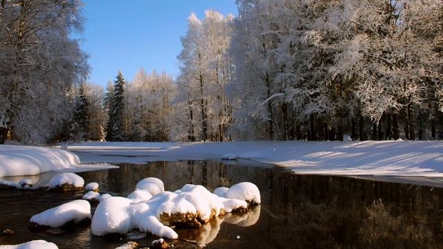 "красивая панорама"(아름다운 강산) корейские песни 5, Шин Джун Хён(신중현), korean song смотреть онлайн