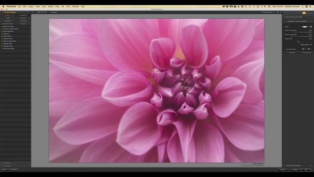 Macro Flower PhotographyTutorial Using The Nik Collection 3 By DxO