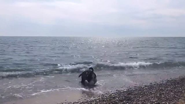 ГЕЛЕНДЖИК ? в начале апреля смотреть онлайн