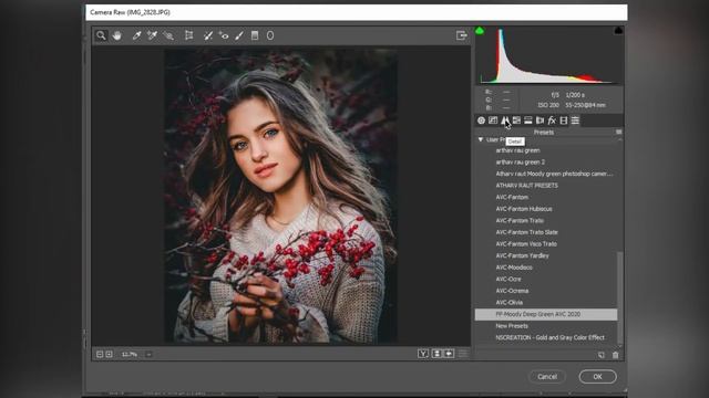 Best 5 New Camera Raw Presets | Photoshop CC 2020 | Photoshop Tutorial | By Chirag D смотреть онлайн