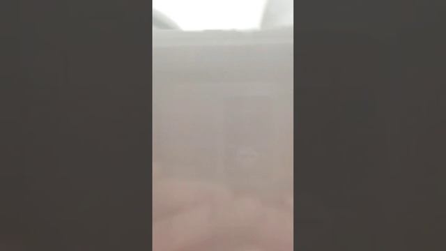 Сапсан пролетел #поезда #транспорт #россия #ржд #спб #электричка #изокнапоезда #сапсан #скорость #ж смотреть онлайн