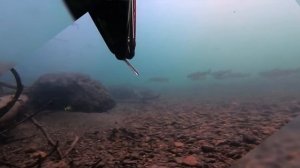 Подводная охота на Камчатке! Природа и рыбалка Камчатского края! Salvimar!