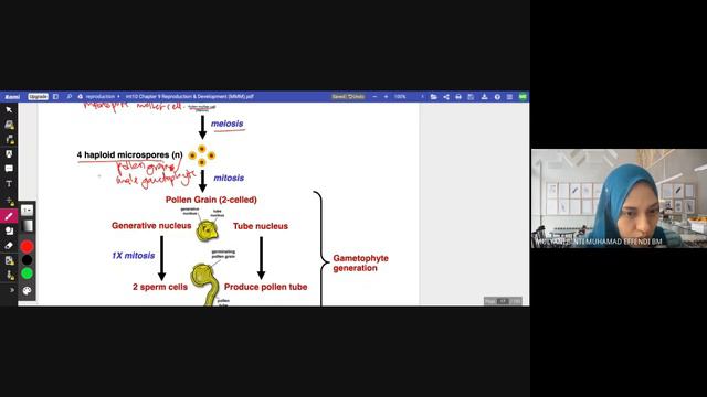 9nov tuto mt10 11-12pm смотреть онлайн