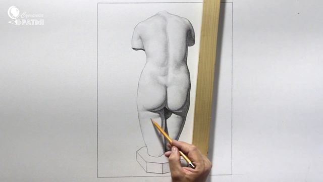 Игорь Сушенок. Женский торс. Рисунок. смотреть онлайн