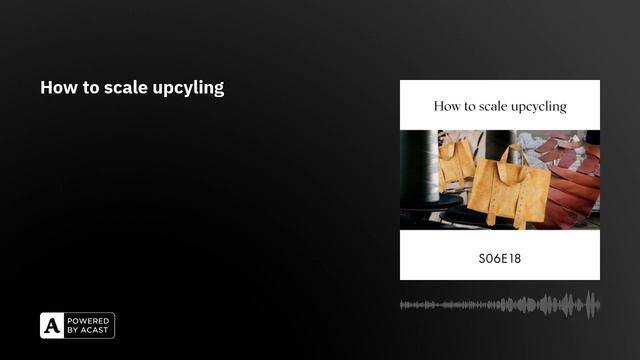 How to scale upcyling смотреть онлайн