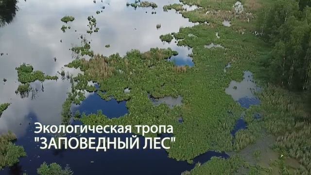 Экологическая тропа "Заповедный лес". Лосиная биостанция. смотреть онлайн