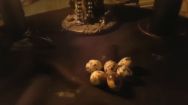 ПЕРЕНЕСТИ БОЛЕЗНЬ НА ПЕРЕПЕЛИНЫЕ ЯЙЦА...ИНГА ХОСРОЕВА-ВЕДЬМИНА ИЗБА смотреть онлайн