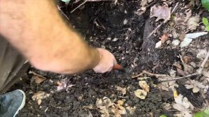 Коп в Краснодарском крае с АКА интроник!