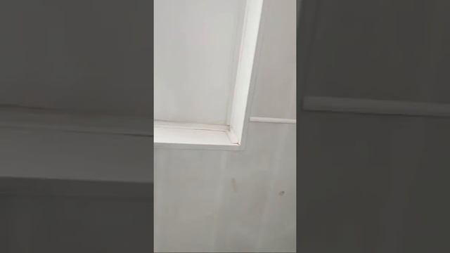 Соревнования пожарно-прикладной спорт. Девушки. смотреть онлайн