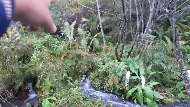 Саяно шушенское водохранилище часть 3 смотреть онлайн
