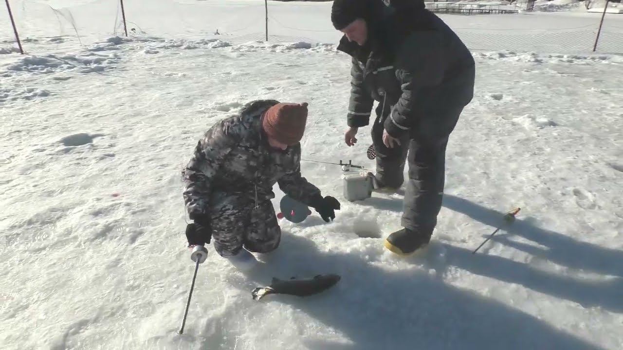 Р.Д. Юрлово. Утро на ВИП зоне смотреть онлайн