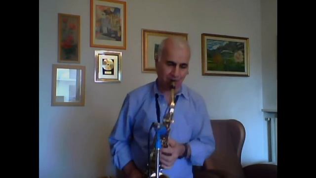 ADAGIO di Albinoni_Aldo SIBONI(sax contralto) смотреть онлайн