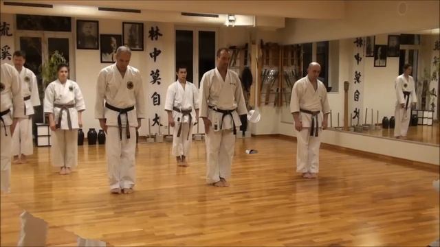Shorin-Ryu Seibukan Karate - Germany
