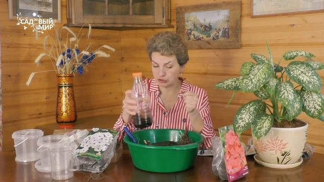 Как сохранить флоксы из магазина до весны смотреть онлайн
