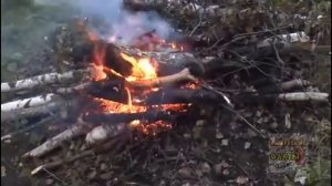 10 САМЫХ ПРИЯТНЫХ ЗВУКОВ ДЛЯ ЧЕЛОВЕКА