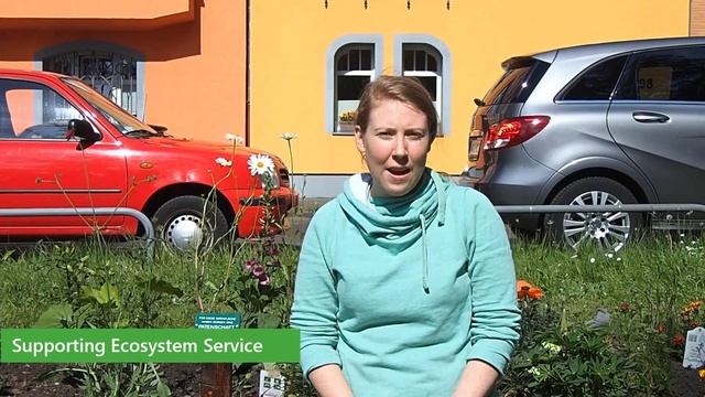Ecosystem Services in our Backyards смотреть онлайн