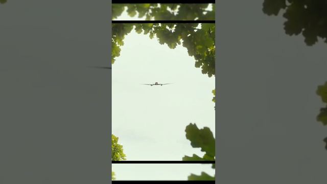 сбил самолёт