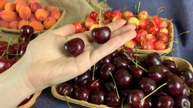 Черешня(Азербайджан) - 24.06.21. - Fresh-concierge.ru