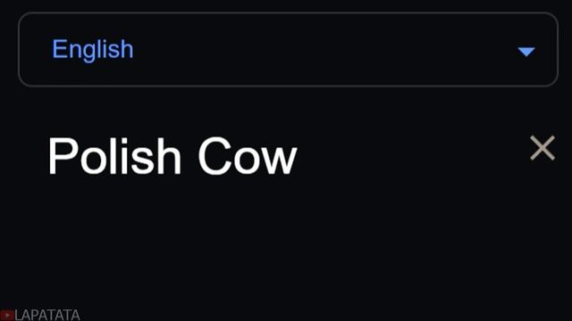 Polish Cow in 70 Languages Meme смотреть онлайн