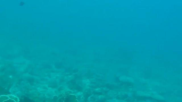 Нячанг - Дайв 1 смотреть онлайн