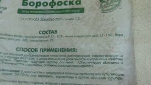 ПОДКОРМКА ВЗРОСЛЫХ ТОМАТОВ «БОРОФОСКОЙ». Ольга Чернова.