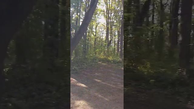 Экскурсия в лес / Горячий Ключ смотреть онлайн