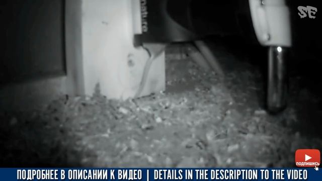 Умная (SMART) ловушка для МЫШЕЙ и КРЫС [Automatic pneumatic rodent killer] смотреть онлайн