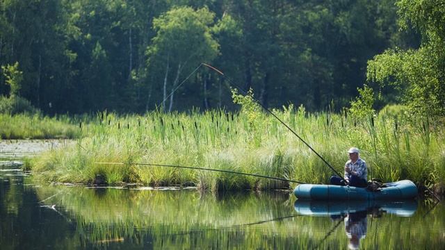 Приехали на пруд и сразу поймали? Клёва не будет! Есть 2 причины смотреть онлайн