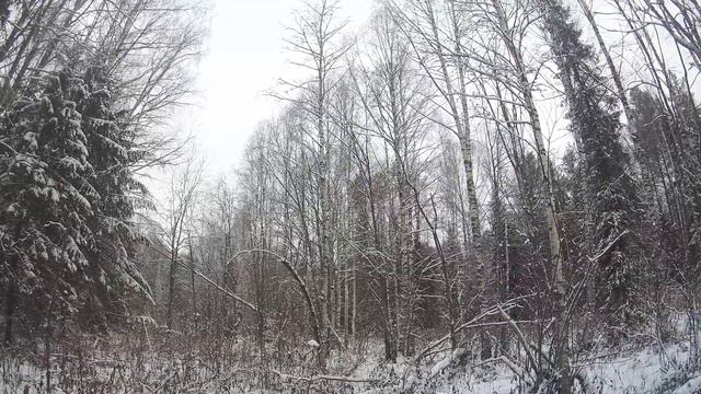 Охота на зайца зимой сБоем. смотреть онлайн