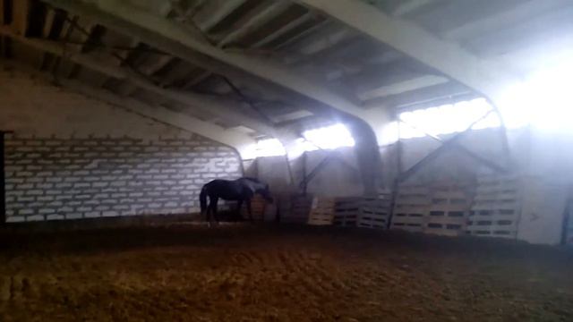 Символ аллюры смотреть онлайн