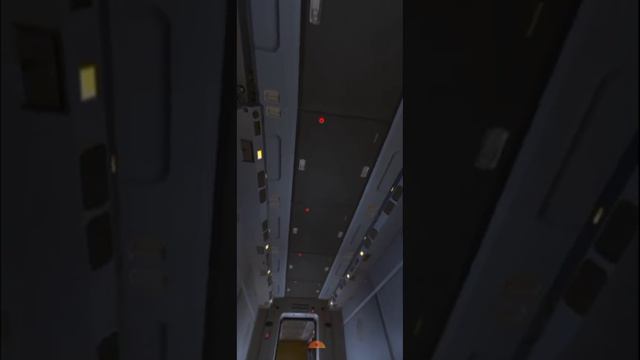 Among Us - Просмотр Видео 360° смотреть онлайн