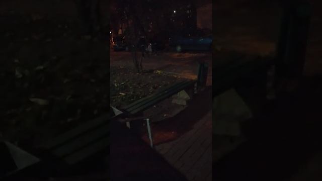 алкаш врезался в мусорный контейнер