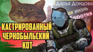 Сталкер История Кота. Вся суть